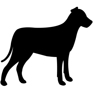 Dog Products Icon