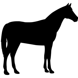 Horse Products Icon
