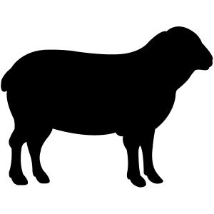 Sheep Products Icon