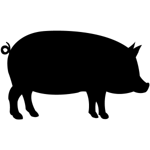 Pig Products, Hog Products Icon