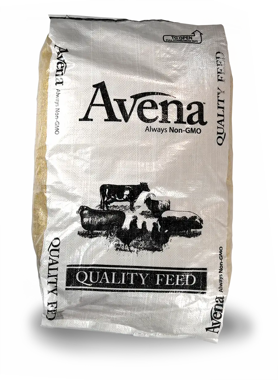 Related product - Avena Pig Feed