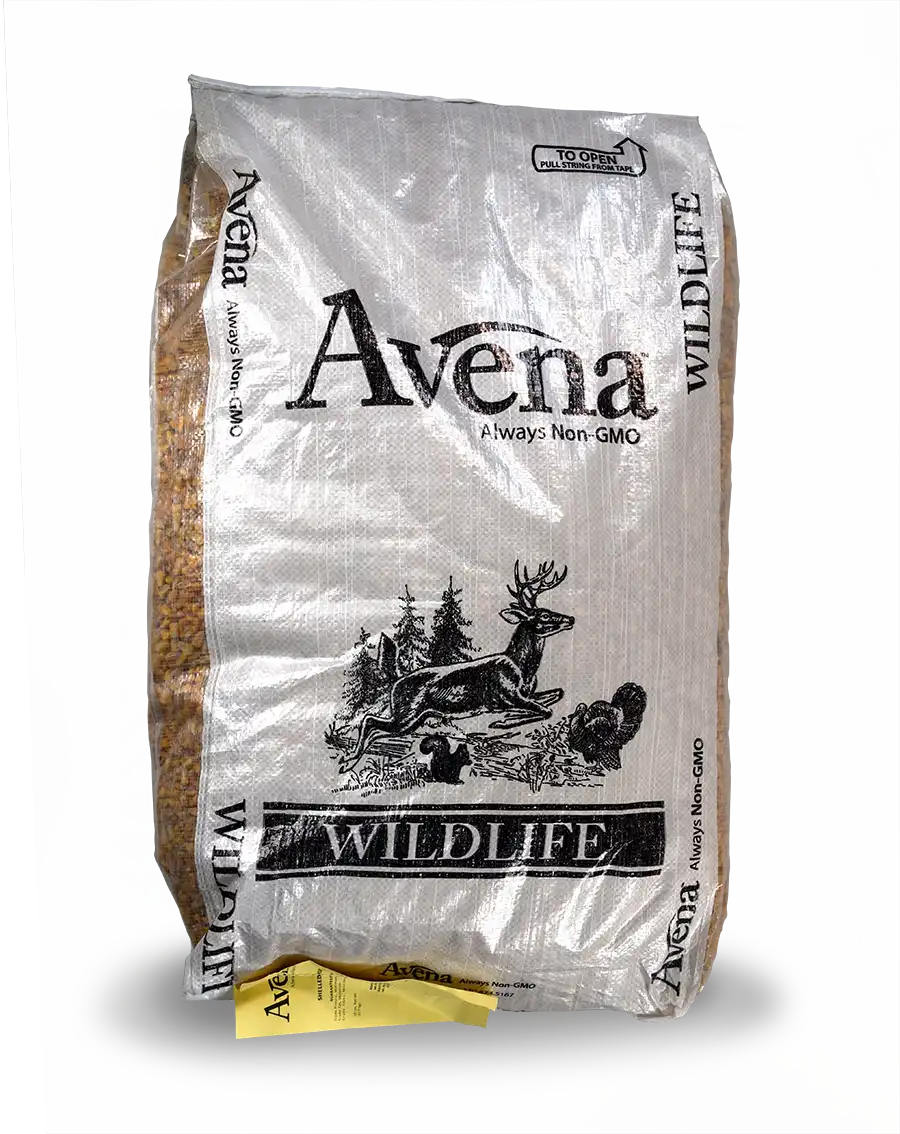 Related product - Avena Shelled Corn