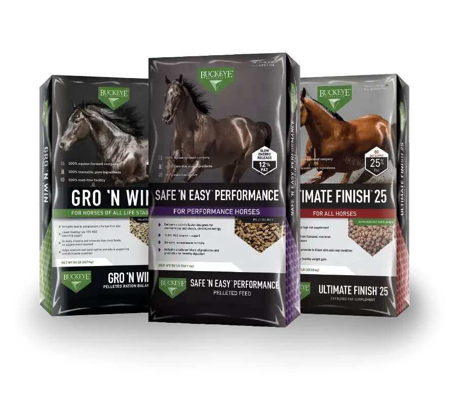 Buckeye Horse feed Bags