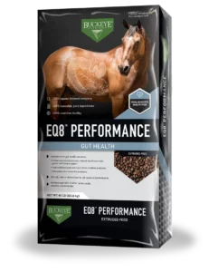 Buckeye EQ8 Performance Horse Feed Bag