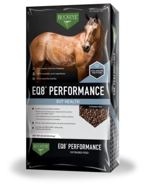 Buckeye EQ8 Performance Horse Feed Bag