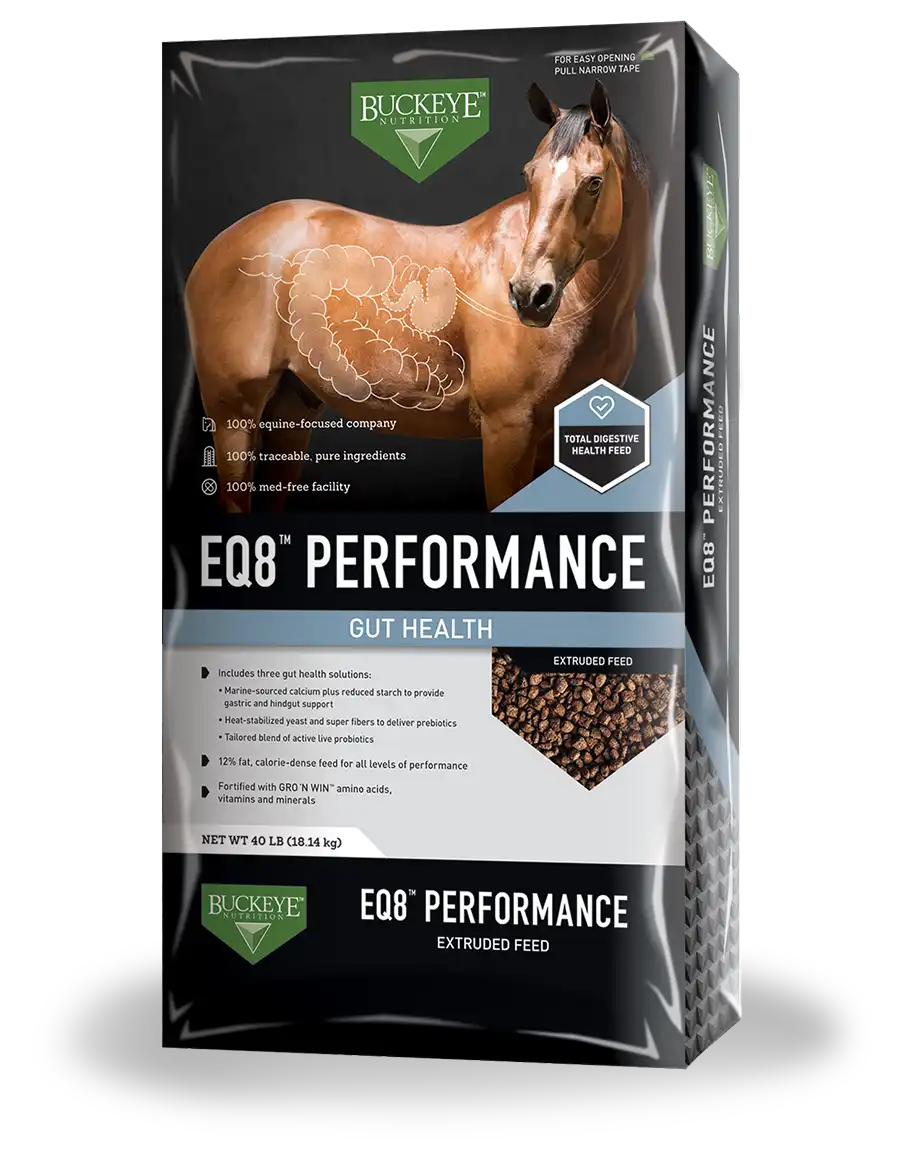 Related product - Buckeye EQ8 Performance