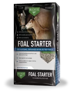 Buckeye Foal Starter Feed Bag