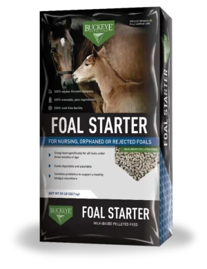 Buckeye Foal Starter Feed Bag