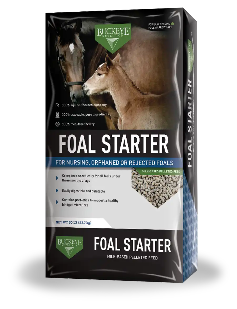 Related product - Buckeye Foal Starter