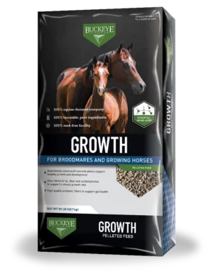 Buckeye Growth Horse Feed Bag