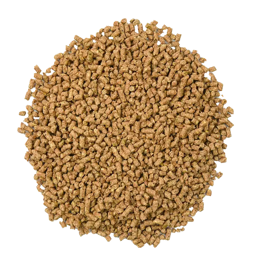 Buckeye Growth Horse Feed