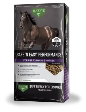 Buckeye Safe N Easy Performance Horse Feed Bag