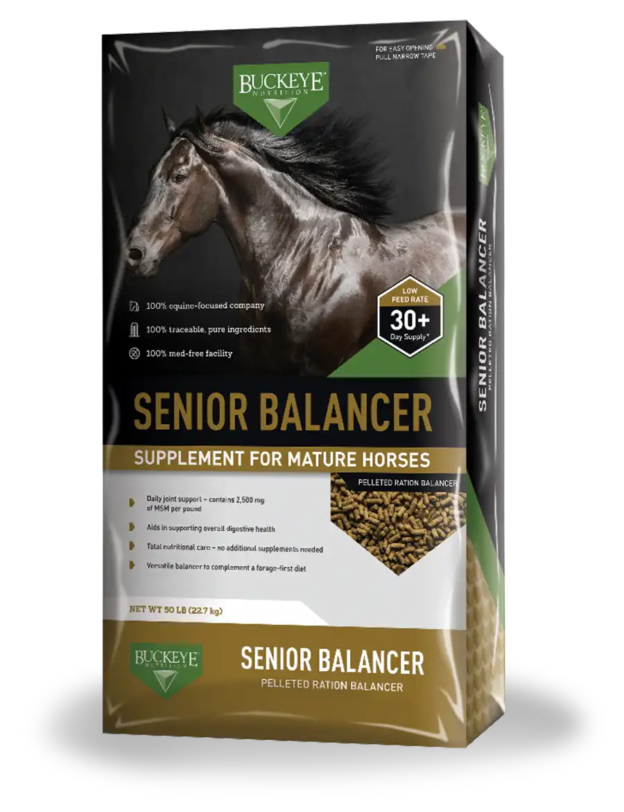 Related product - Buckeye Senior Balancer