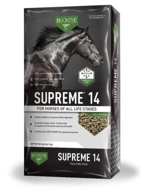 Buckeye Supreme 14 Horse Feed Bag