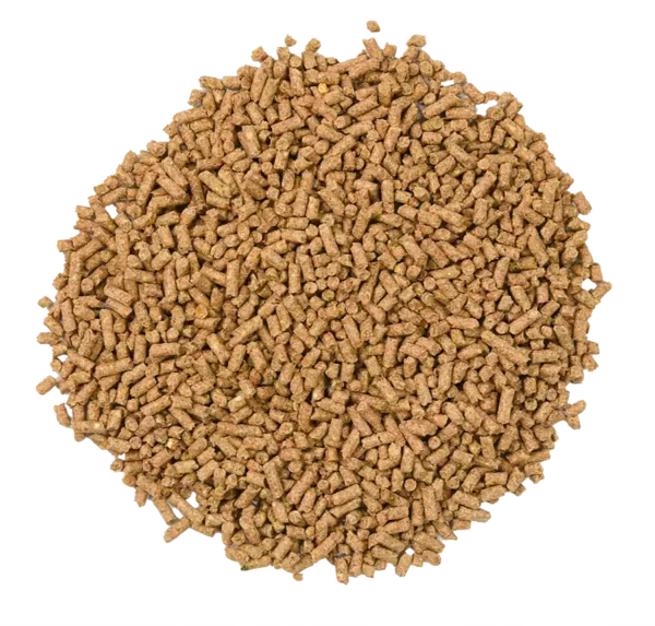 Buckeye Supreme 14 Horse Feed