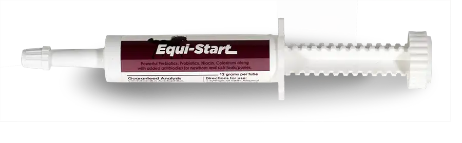 Related product - NWM Equistart