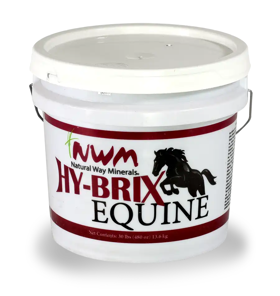 Related product - NWM Hy-Brix Equine Daily