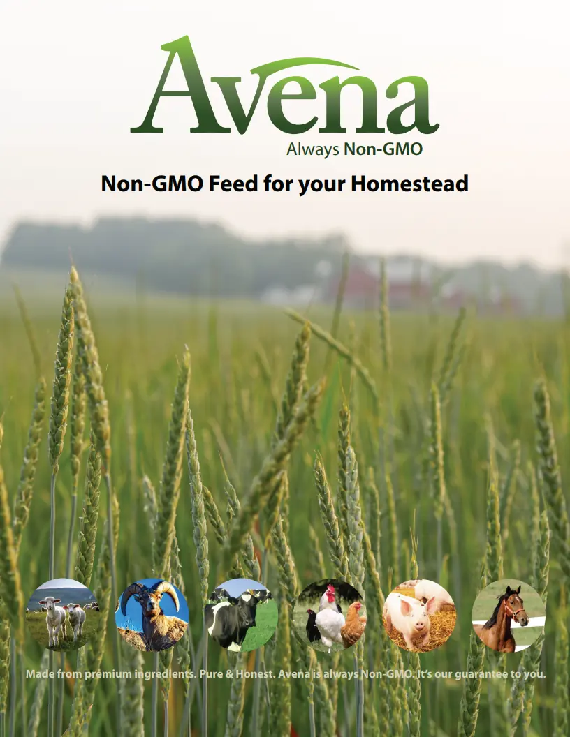 Avena Brochure