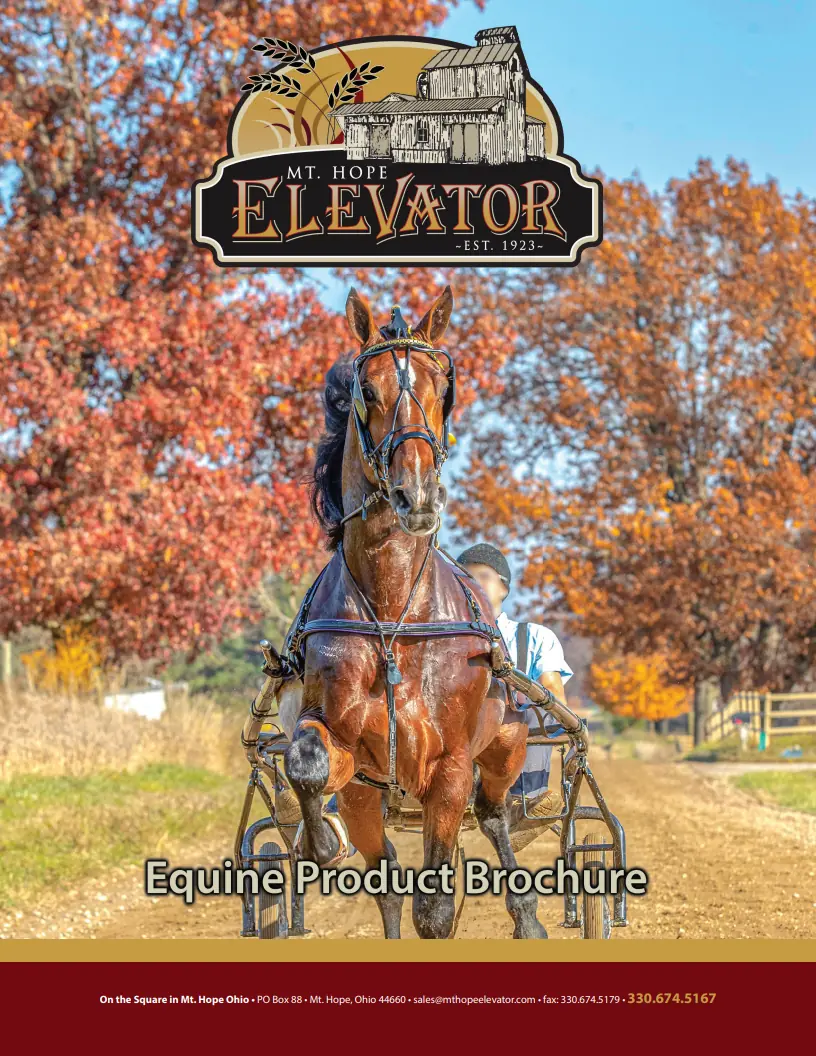 Equine Brochure