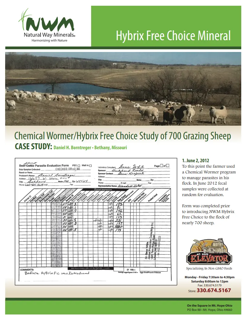 Natural Way Minerals Hybrix Free Choice Sheep Study