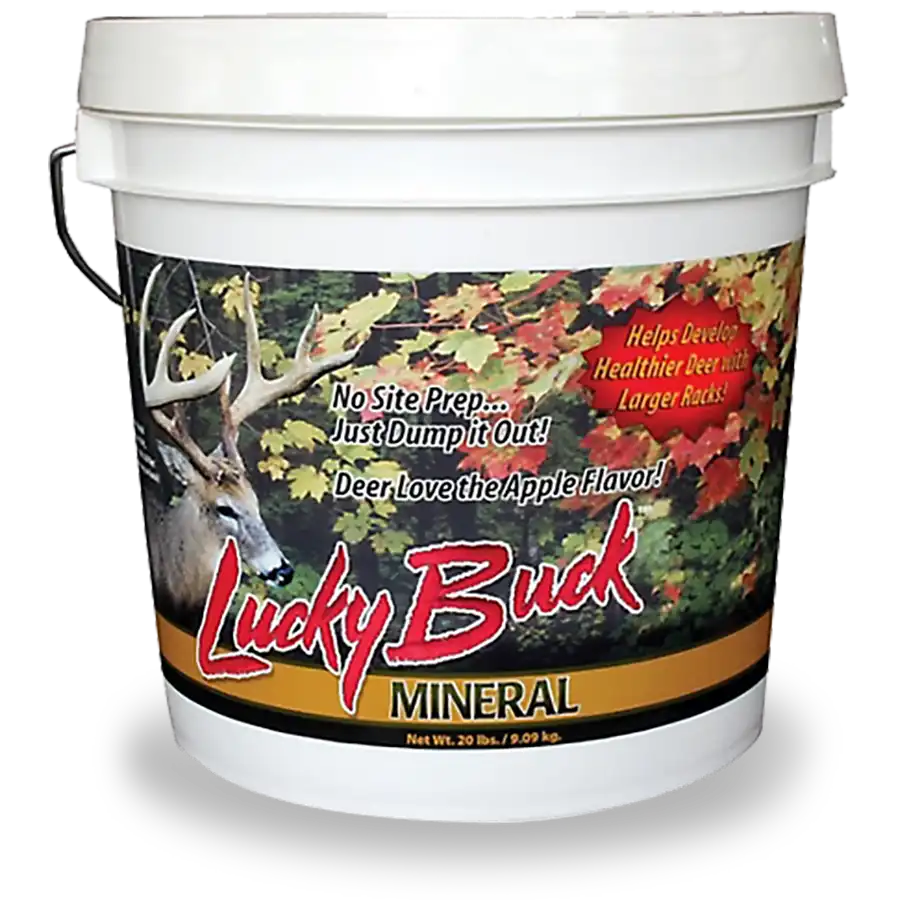 Related product - Lucky Buck Mineral