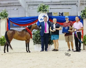 Eclipse Horse Feed Horse National Championship