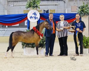 Eclipse Horse Feed Horse National Championship