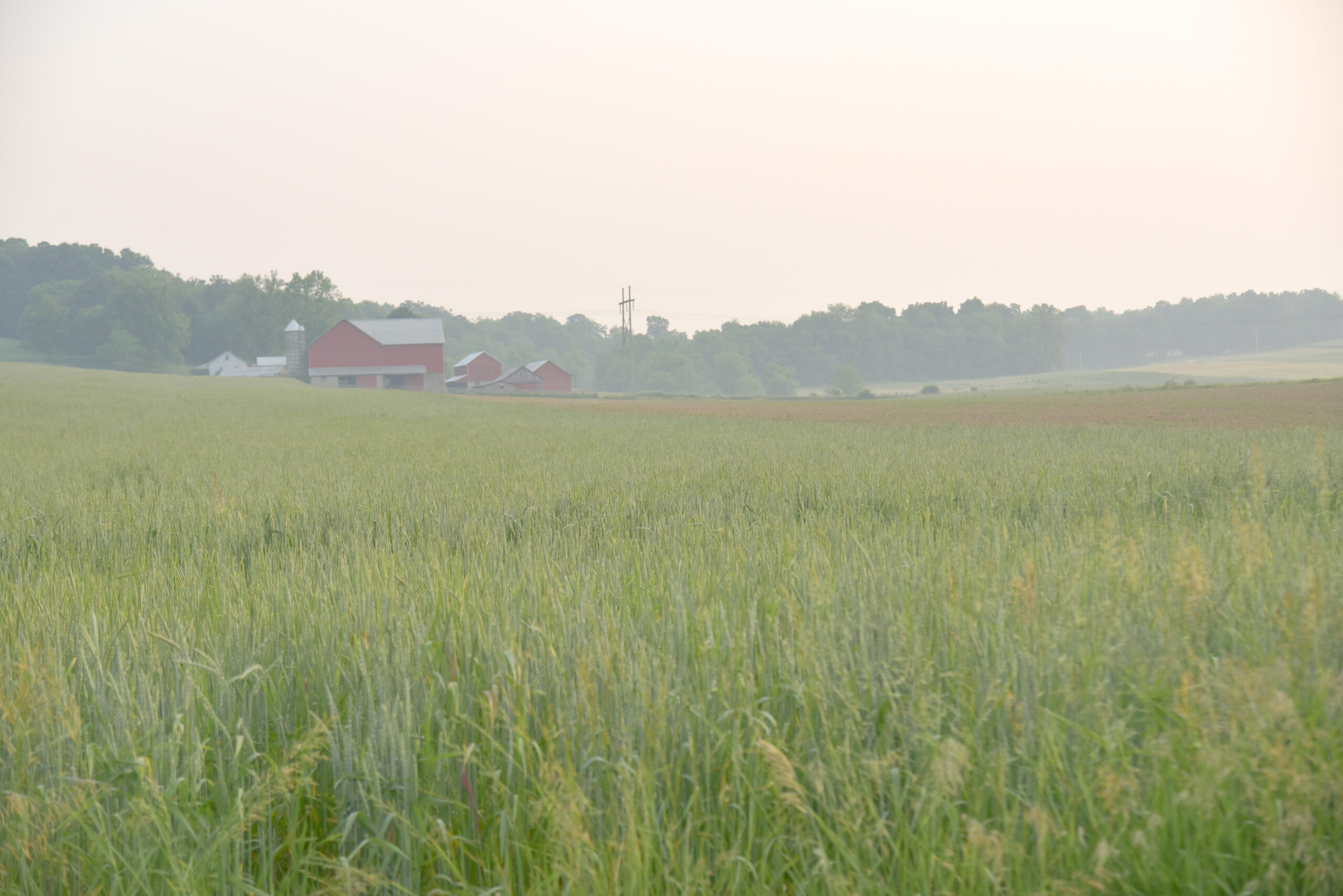 Family Farm Field Days