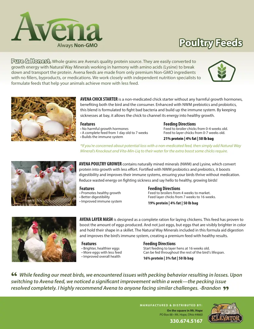 Avena_Poultry-thumbnail_816x1056