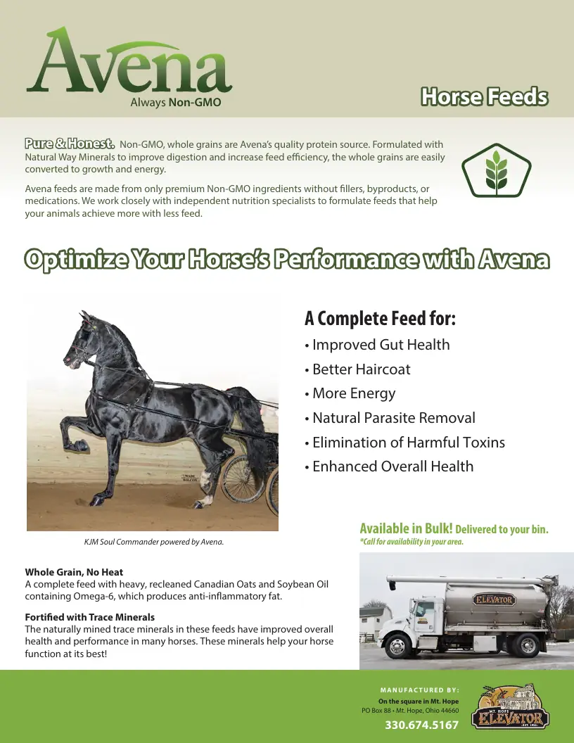 Avena Horse Feed Flier