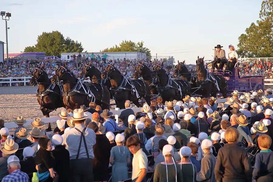 Horse progress days breed presentation with a large audience.